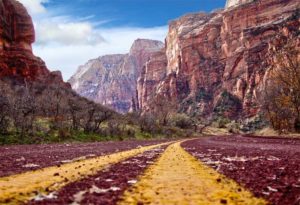 national-park-zion-utah